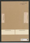 Diatomeae indet. Zeichnungen Sammlung Grunow Nr. 5940 (NHMW-BOT-W0374411)
